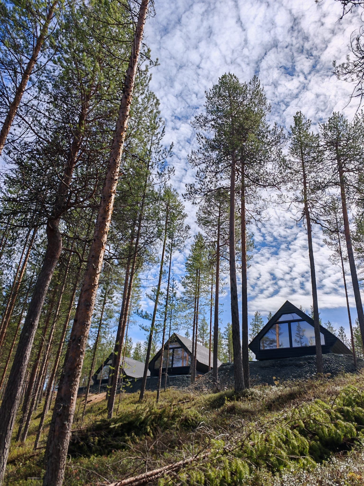 Hera Resortin revontulimökit mäntykankaalla