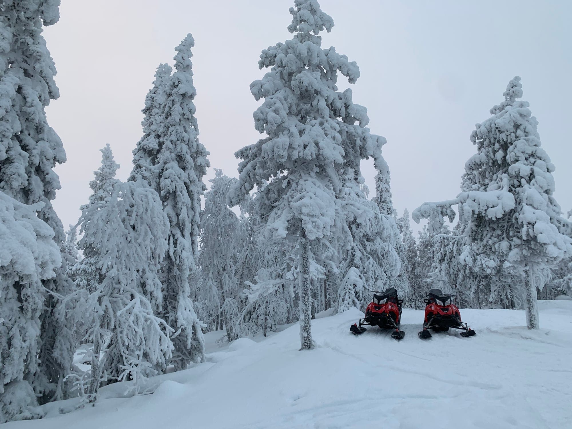 Sneeuwscootertochten